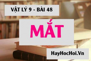 Mắt: Cấu tạo của mắt, điểm cực cận, điểm cực viễn của mắt là gì? - Vật lý 9 bài 48